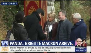 Brigitte Macron est arrivée au zoo de Beauval pour le baptême du bébé panda