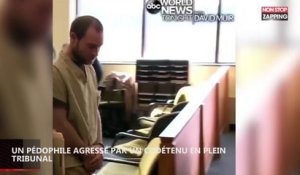 Un pédophile se fait agresser par un codétenu en plein tribunal (vidéo)