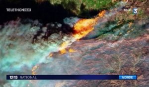 Californie : les incendies ont ravagé 60 000 hectares pour l'instant