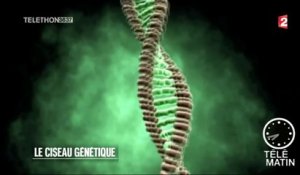 Sciences -  Le ciseau génétique