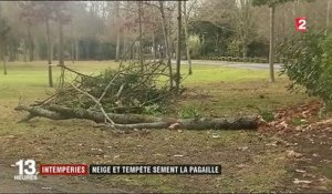 Tempête Ana : violentes rafales sur les côtes françaises