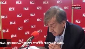 Hommage à Johnny Hallyday : Alain Finkielkraut choque avec des propos racistes (Vidéo)