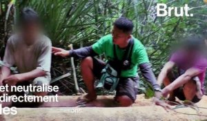 Aux Philippines, défendre les forêts c'est risquer sa vie