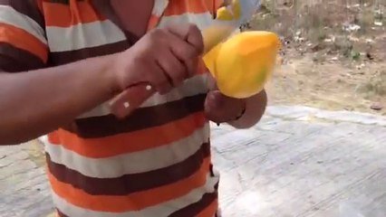 Coupe Mangue et Pomme - Decoupe Fruit