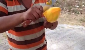 Sa technique pour couper une mangue est incroyable... Découpe en forme de fleur