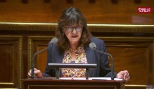 Éliane Assassi accuse un sénateur LR de faire des « amalgames intolérables »