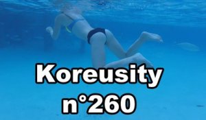 Koreusity n°260