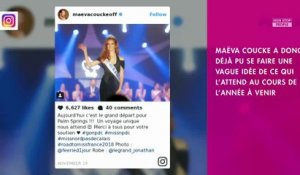 Miss France 2018 - Maëva Coucke : Qui est Alizée, sa soeur jumelle ?