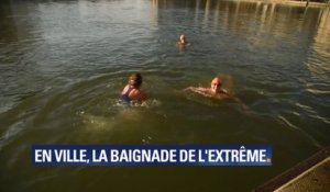 3°C à l'extérieur, 5°C dans l'eau. À Paris, ces nageurs préfèrent le canal à la piscine