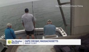 Un requin blanc mord un poisson attrapé par des pêcheurs !