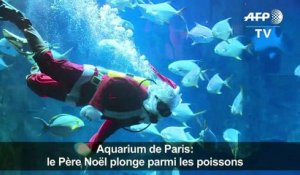 Aquarium de Paris: le Père Noël plonge parmi les poissons