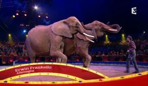 La colère de "30 Millions d'amis contre France 3 après la diffusion hier soir en prime du Cirque de Monte Carlo