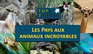TOP 07 : Les pays aux animaux INCROYABLES !