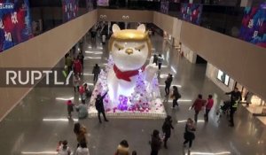 Un chien géant à tête de Trump pour l'année du chien en Chine !