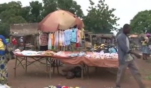 Togo, DÉVELOPPEMENT DE L'AGROBUSINESS