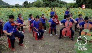 C’est un monde - Thaïlande : un orchestre contre les préjugés