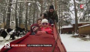 Balade d'hiver : les Pyrénées en traîneau