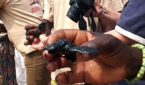 Bénin: journée nationale des tortues marines