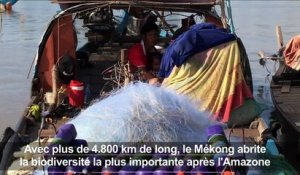 Inquiétudes pour le Mékong menacé par les barrages chinois