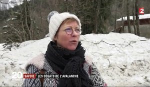 Savoie : les dégâts de l'avalanche