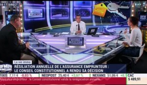 La vie immo: le Conseil constitutionnel a validé la résiliation annuelle de l'assurance emprunteur - 12/01