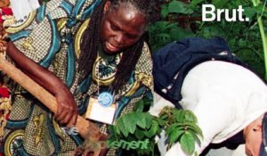 Wangari Maathai, la première femme africaine à avoir reçu le prix Nobel de la Paix
