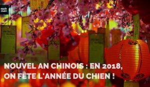 Nouvel an chinois : en 2018, on fête l'année du Chien !