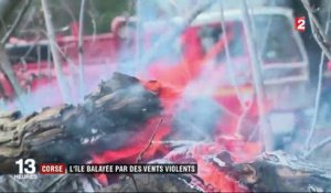 Corse : l'île balayée par des vents violents