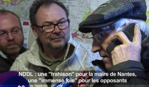 Abandon de NDDL: un "déni de démocratie" pour la maire de Nantes