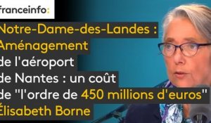 Aménagement de l'aéroport de Nantes : un coût de "l'ordre de 450 millions d'euros"