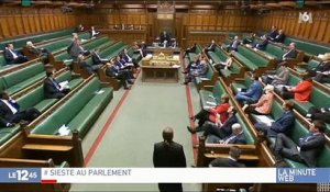 Une député britannique fait le buzz en s'endormant au Parlement devant les caméras - Regardez