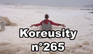 Koreusity n°265