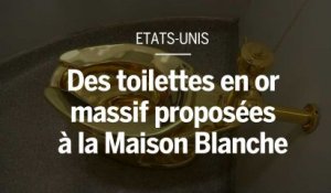 La Maison Blanche souhaite un Van Gogh, un musée lui propose des toilettes en or