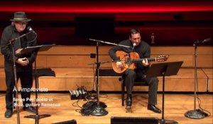 Duo Serge Pey, poète et Kiko Ruiz, guitare flamenca (extrait) - A l'improviste