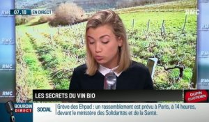 Dupin Quotidien : Les secrets du vin bio - 30/01