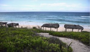 Little Whale Cay : offrez-vous une île paradisiaque pour... 16 millions d'euros !