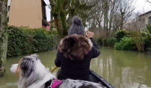 Nogent-sur-Marne : les images de la crue à hauteur de canoë