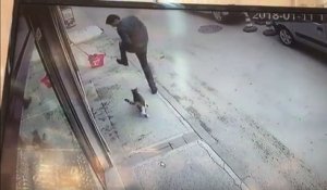 Un chat fait tomber un homme