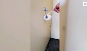 Le moment terrifiant où une femme trouve une araignée énorme cachée derrière le papier toilette