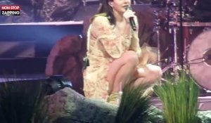 Lana Del Rey fond en larmes en plein concert (vidéo)