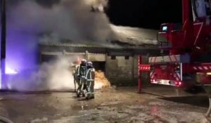 Philippeville: une ferme ravagée par un incendie à Surice