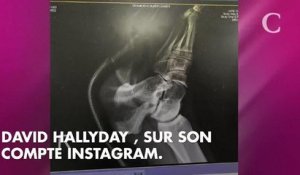 David Hallyday Et Laura Smet Proches Leurs Tendres Messages Sur Instagram Devoiles
