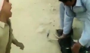 Ce petit garçon sauve une poule que son père veut tuer