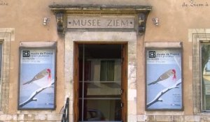Un aperçu de la nouvelle exposition du musée Ziem autour de l'illustration jeunesse