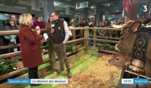 Salon de l'Agriculture : l'Aubrac, histoire d'une race bovine