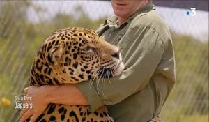 L'incroyable séance de câlins entre un homme et.... un jaguar hier sur France 3 ! Regardez