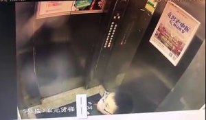 Un enfant urine sur les boutons d'un ascenseur