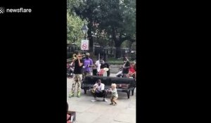 Watch this adorable toddler jam with a New Orleans brass band