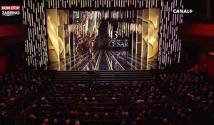 César 2018 : M.Poulpe fait le moment gênant de la cérémonie (vidéo)