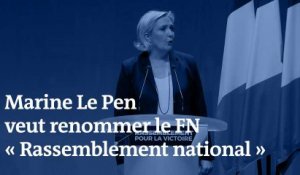 « Rassemblement national » : Marine Le Pen explique son choix de nouveau nom pour le Front national